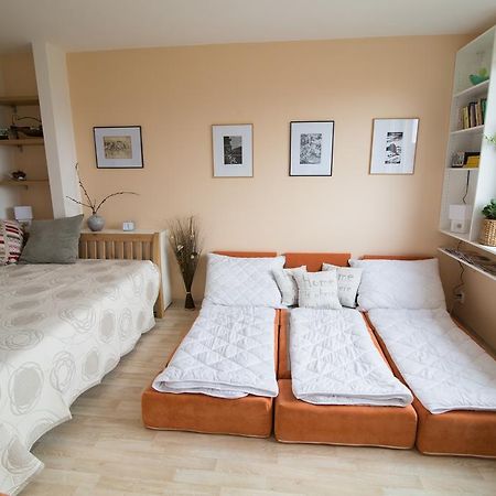 Apartman Labe Ústí nad Labem エクステリア 写真