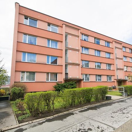 Apartman Labe Ústí nad Labem エクステリア 写真