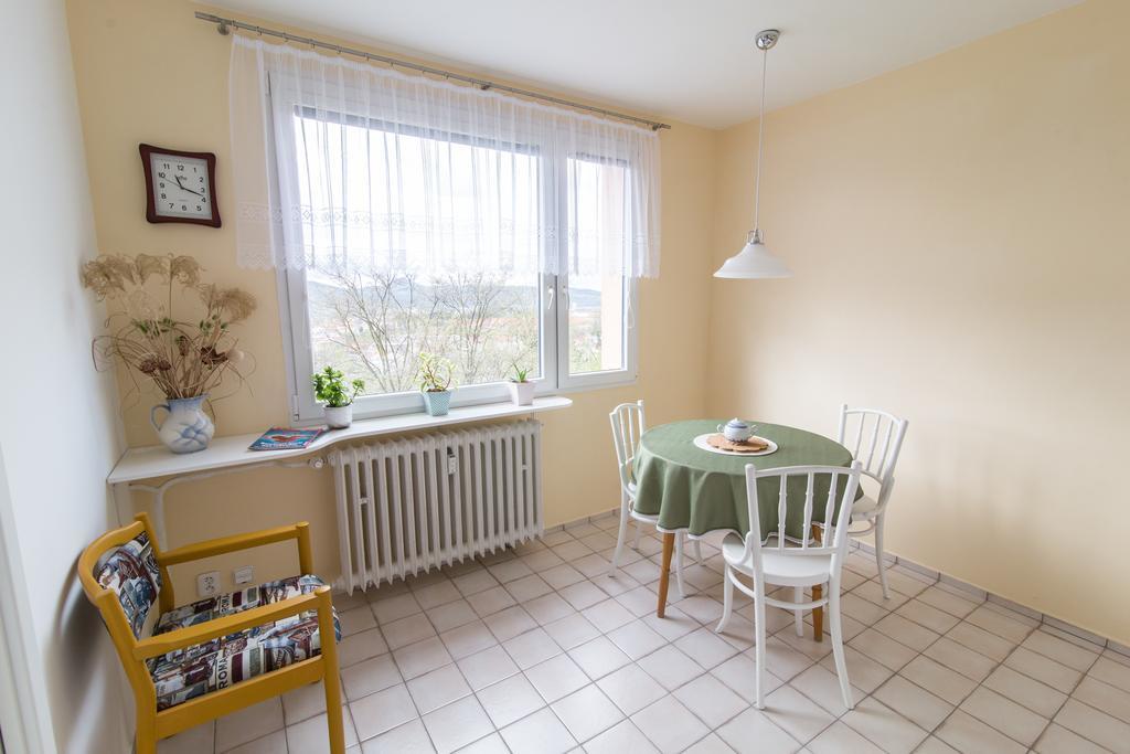 Apartman Labe Ústí nad Labem エクステリア 写真