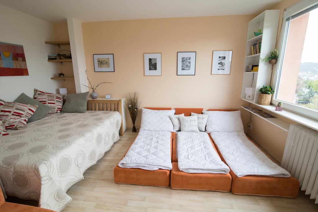 Apartman Labe Ústí nad Labem エクステリア 写真